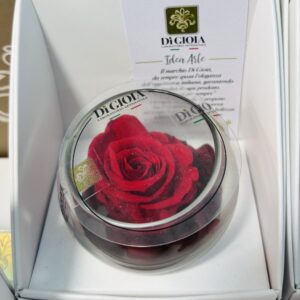 rosa stabilizzata da arredo in bicchiere in vetro